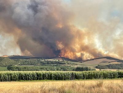 Los incendios calcinan 8.000 hectáreas en Castilla-La Mancha