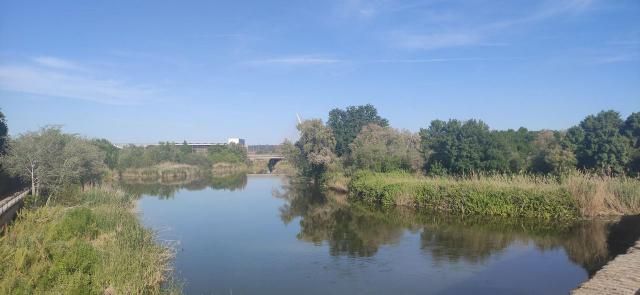 El río Tajo a su paso por Talavera 