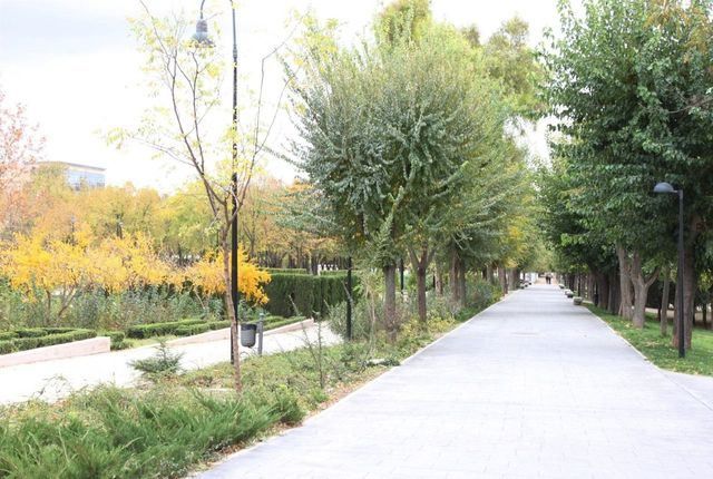 Toledo cierra parques y zonas verdes por viento y tormentas