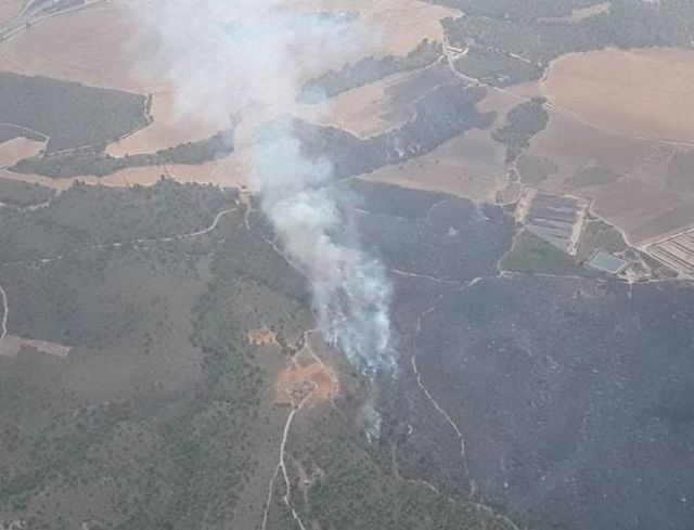 Más de 100 personas luchan contra el fuego de Hellín