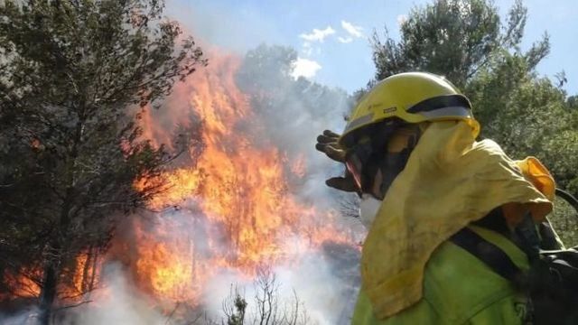 Bomberos forestales - Imagen de archivo