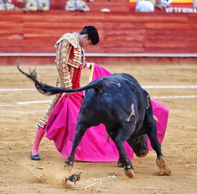 Tomás Rufo se lleva una oreja y la ovación del público de Almería