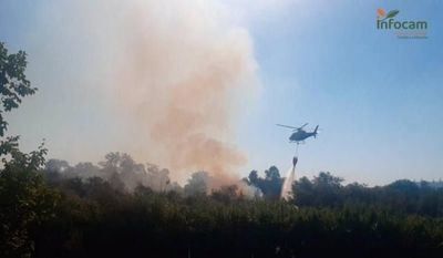 Dan por extinguido el incendio de la isla del Tajo 