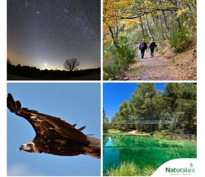 Vive, siente, ‘Naturalea’ y conecta con el otoño en Castilla-La Mancha