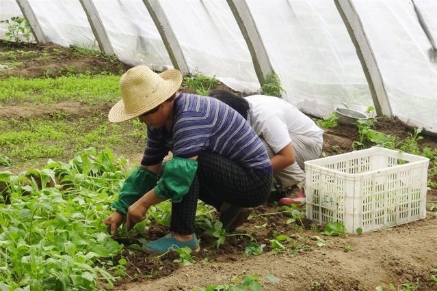 Trabajadores extranjeros afiliados a la Seguridad Social