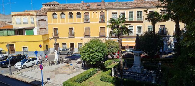 Retiran la palmera de la Plaza Padre Juan de Mariana por motivos de seguridad