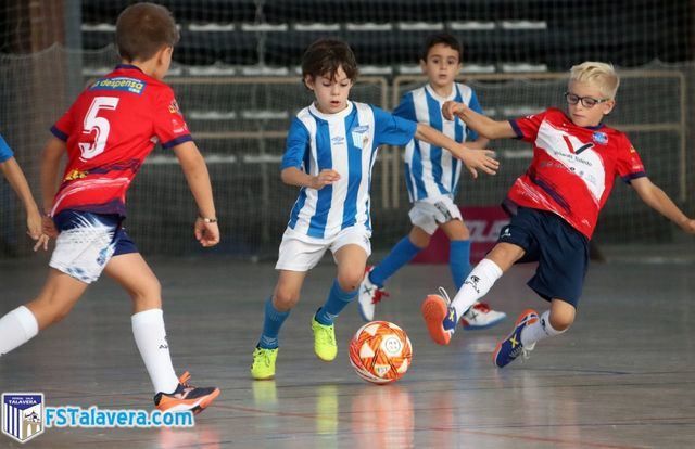 El III Torneo 'Enertel-Academia FS Talavera' congregó a las mejores canteras de la provincia