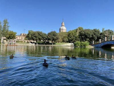 Hidalgo: “Los impuestos y tasas municipales de Talavera no suben”