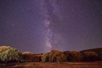 Cabañeros, un lugar para vivir con los cinco sentidos