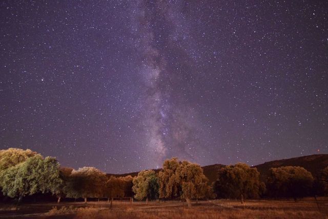 Cabañeros, un lugar para vivir con los cinco sentidos