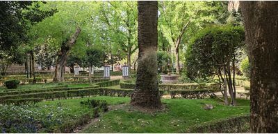 La rehabilitación de los Jardines del Prado no se para