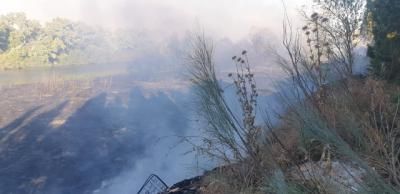 VÍDEO Y FOTOS | Infocam y Bomberos de Talavera lucharon contra el fuego