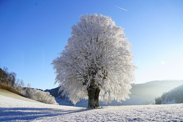 Mañana llega el frío: nevadas, niebla y viento