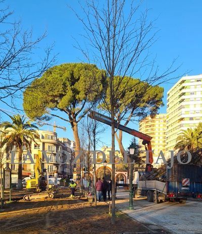 Comienza la plantación de árboles de gran porte en los Jardines Del Prado