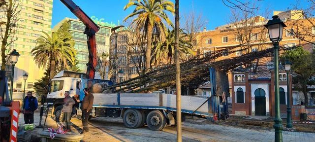 Así será la replantación de los Jardines Del Prado