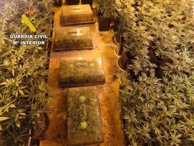 Intervienen 9.000 dosis de marihuana en una casa de Castilla-La Mancha