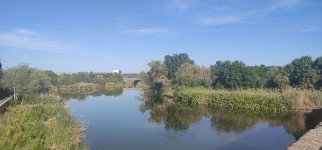 El río Tajo a su paso por Talavera (Foto: D.M.M. - La Voz del Tajo)