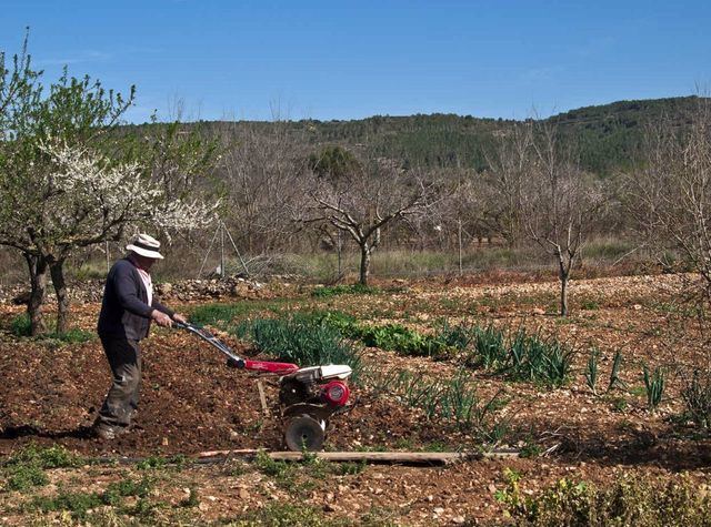 650.000 agricultores y ganaderos se beneficiarán de las ayudas de la PAC