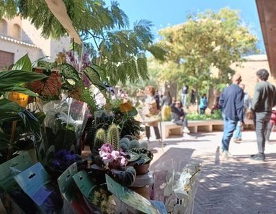 No te pierdas la cita mensual con el Mercado de Flores este sábado