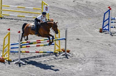 El 50 aniversario del estadio del "Salto del Caballo", en la Filmoteca Histórica Toledana