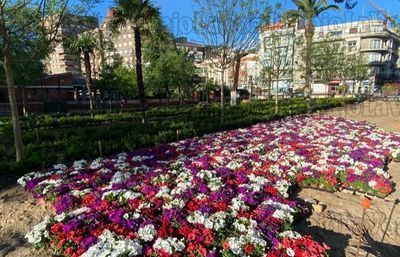 Unas 30.000 flores darán color a los Jardines del Prado de Talavera