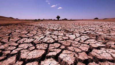 Casi 100 días sin llover: preocupación en Toledo, Talavera, Ciudad Real...