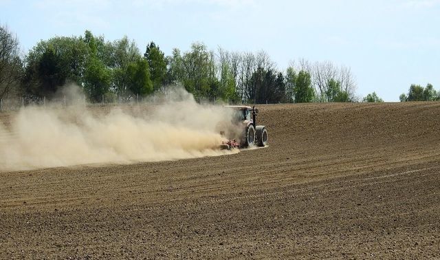 Agricultor - Foto: Pixabay