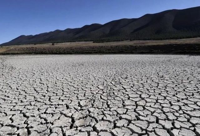 Castilla-La Mancha convocará la Mesa de la Sequía la próxima semana