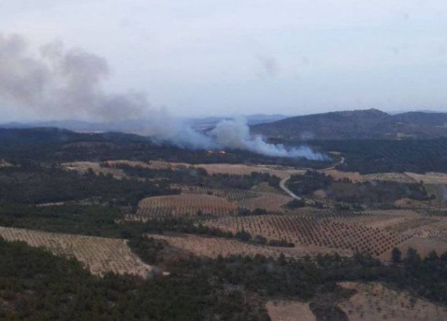 Incendio forestal declarado en Ayna - Imagen del pasado viernes