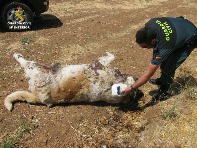 Un agente del Seprona ante un perro muerto. - GUARDIA CIVIL