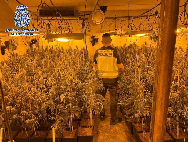 Descubren en Talavera un centro de producción de marihuana a gran escala