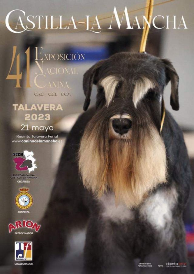 Este fin de semana vuelve 'Ebora Dog Show'