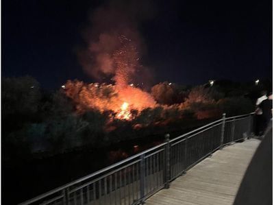 Incendio en la zona de las piraguas de Talavera