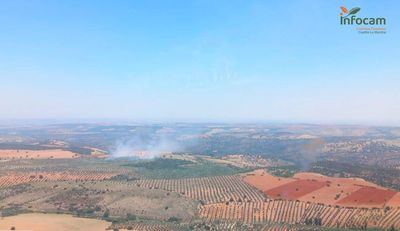 Controlado el incendio forestal declarado en Los Navalmorales