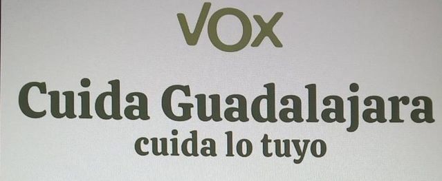 Vox zanja la queja de Henche sobre la elección de diputados provinciales