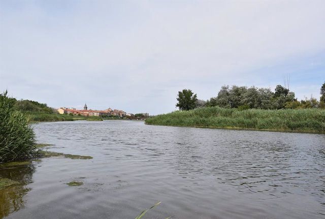  Río Tajo a su paso por Talavera