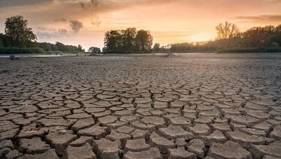 Preocupación por la falta de lluvias en esta zona de Castilla-La Mancha