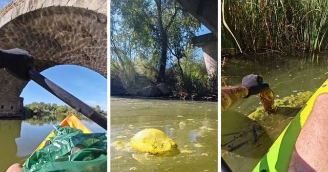 El vídeo que te indignará: basura y vertidos contaminantes en el río Tajo