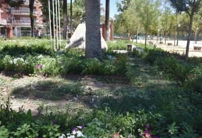 ¿Por qué están "abandonados" los Jardines del Prado? Crece la indignación en Talavera