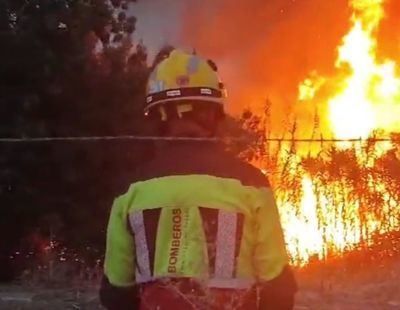 Dos incendios ponen en alerta a CLM: Arcicóllar (Toledo) y Puebla de Don Rodrigo (Ciudad Real)