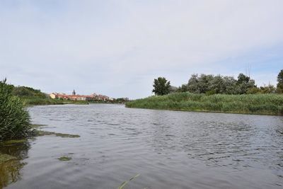 Talavera lucha contra los mosquitos de la ribera del Tajo