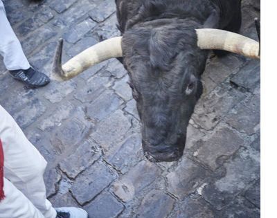 Un hombre herido por asta de toro en un pueblo de Guadalajara