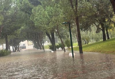 La impactante imagen del Parque de la Alameda completamente inundado