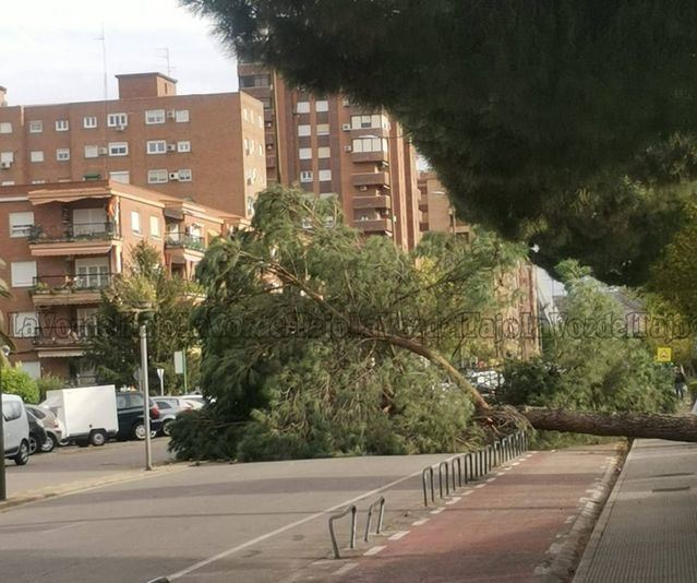 El Ayuntamiento de Talavera cierra los parques (un día después que Toledo) por las fuertes rachas de viento