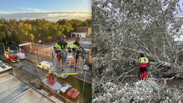 Las imágenes de los estragos de la borrasca Ciarán en Talavera