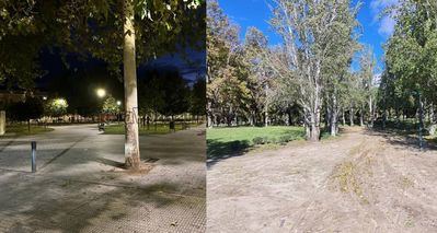 Los parques de Talavera siguen abiertos, el Ayuntamiento anunció su cierre por el temporal