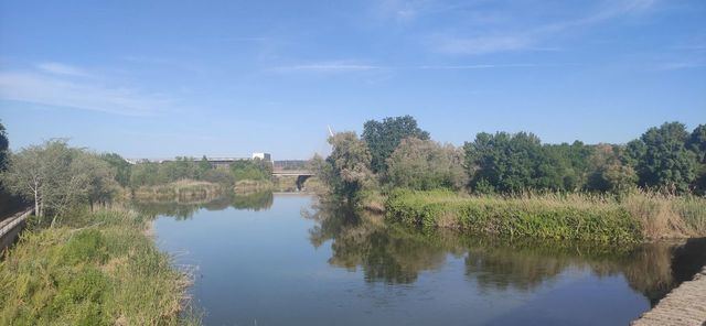 Río Tajo a su paso por Talavera de la Reina / Foto: D.M.M. - La Voz del Tajo