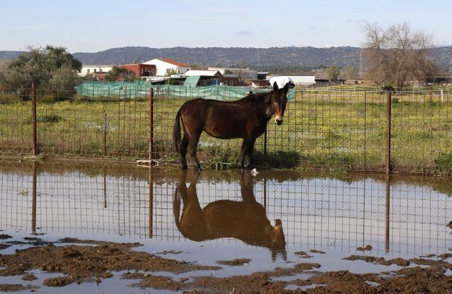 Las fotos que muestran los graves daños de las lluvias en explotaciones agrícolas y ganaderas