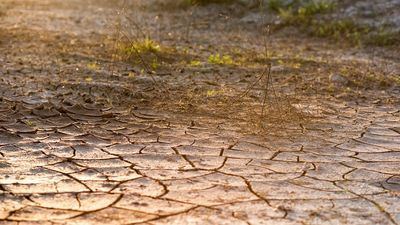 Las zonas afectadas por la sequía recibirán una ayuda de casi 269 millones