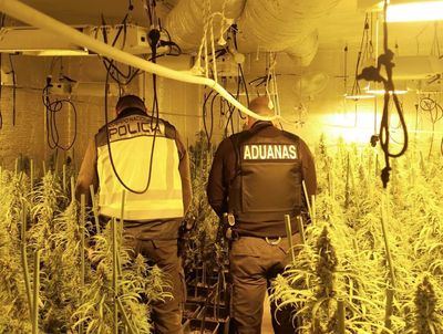 El Casar: Un fuerte olor a marihuana guía a la Policía hasta otra plantación